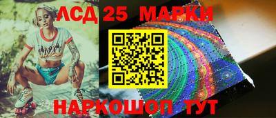 крисы Кулебаки