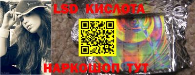 крисы Кулебаки