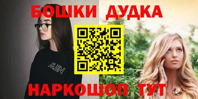 крисы Кулебаки